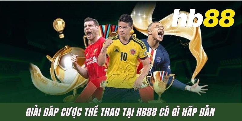 Giải đáp cược thể thao tại HB88 có gì hấp dẫn